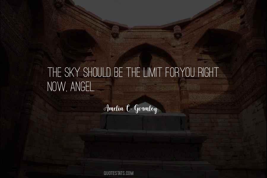Quotes About The Sky Is Not The Limit #1157215