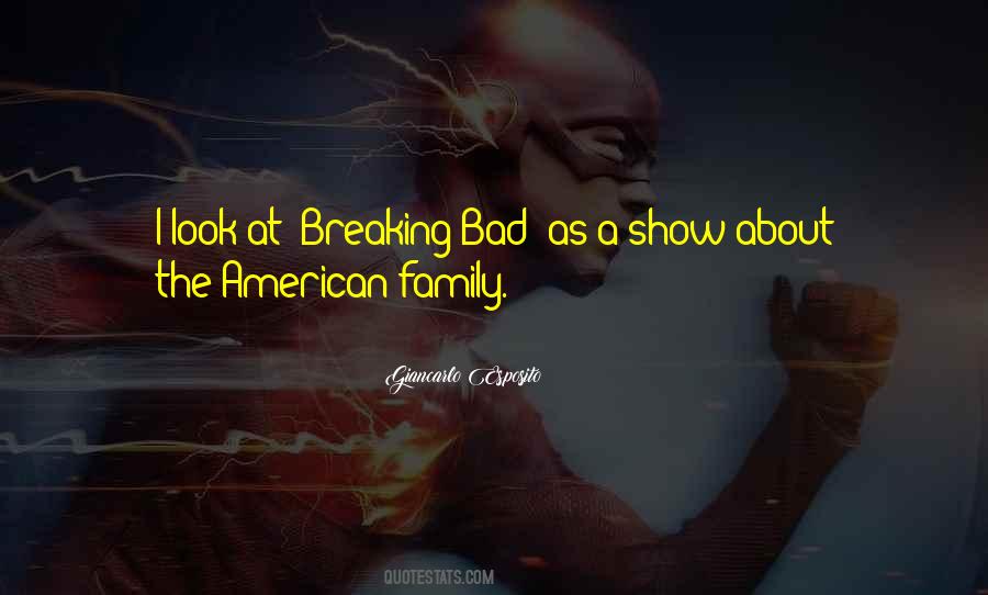 Breaking Bad Family Quotes #1087005