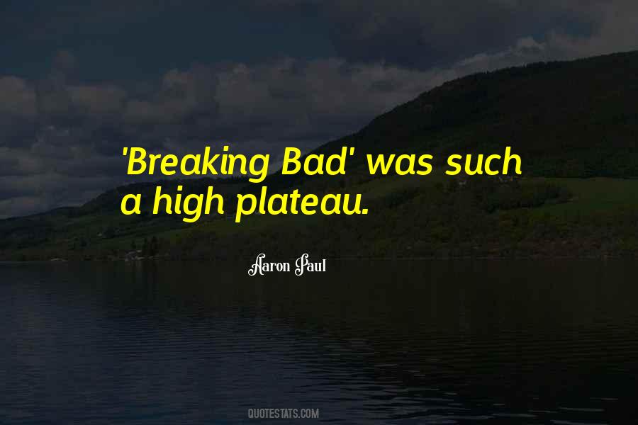 Breaking Bad Quotes #445856