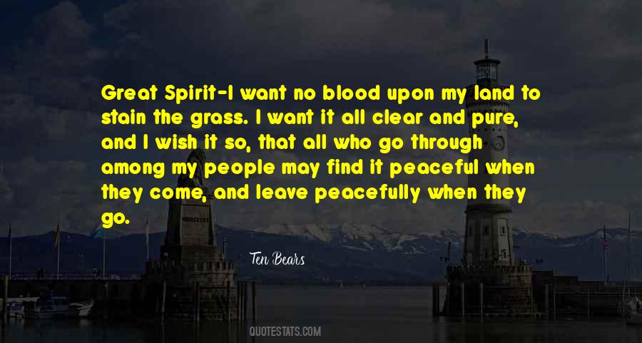 Great Spirit Quotes #941694