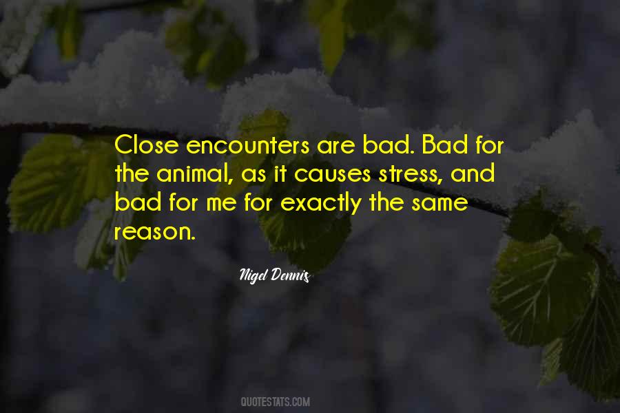 What Causes Stress Quotes #466053