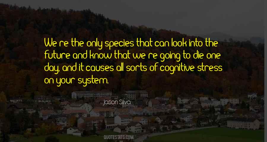 What Causes Stress Quotes #608649