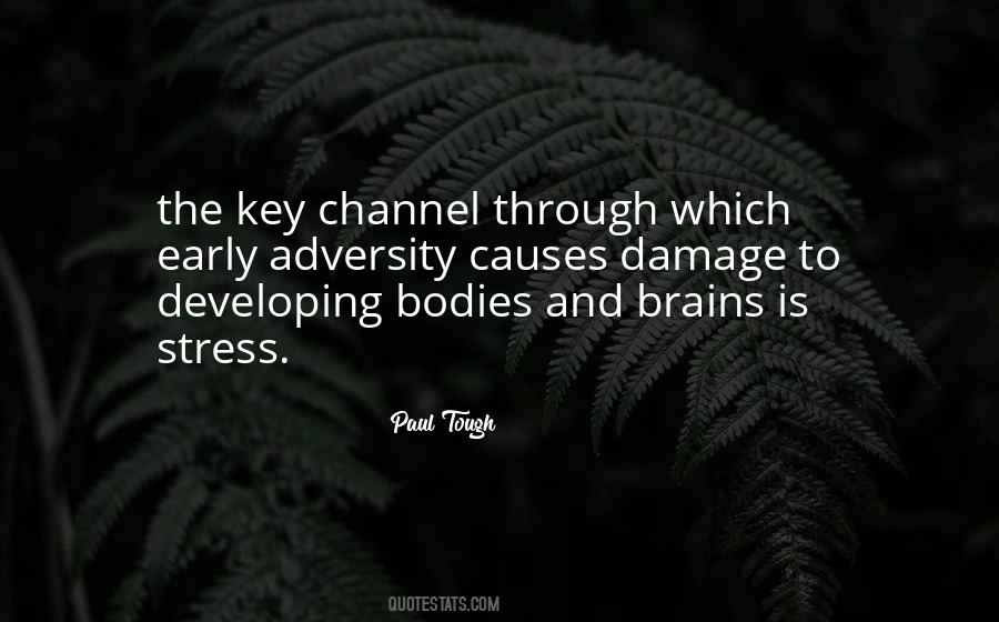 What Causes Stress Quotes #668054