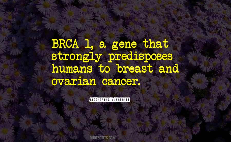 Breast And Ovarian Cancer Quotes #237495