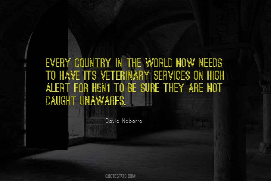 Nabarro David Quotes #934758
