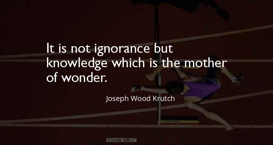 Thomas Seoul Quotes #1644320