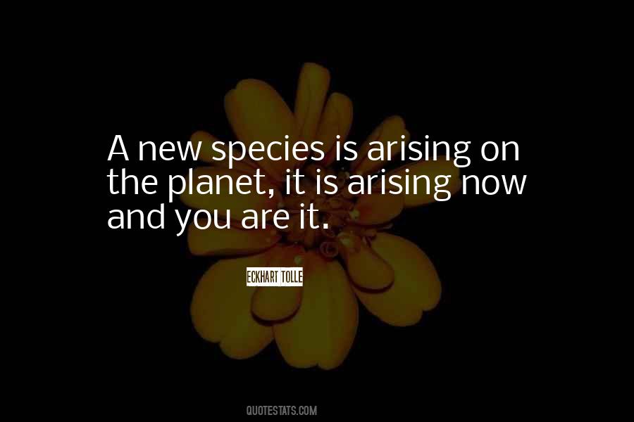 You Are It Quotes #1138925