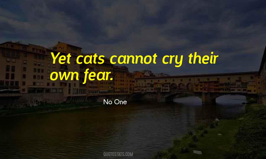 Convidar Amigos Quotes #802729