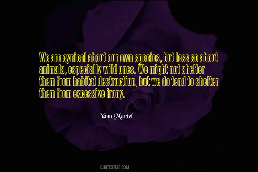 Relativa Sinonimo Quotes #952652