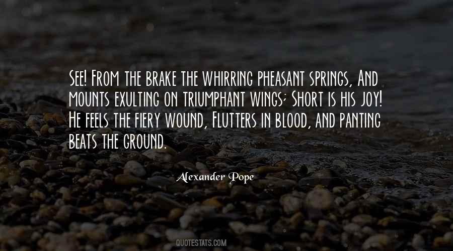 Masaniello Method Quotes #266810