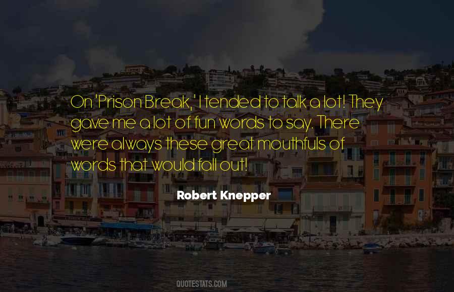 Fun Words Quotes #1371870