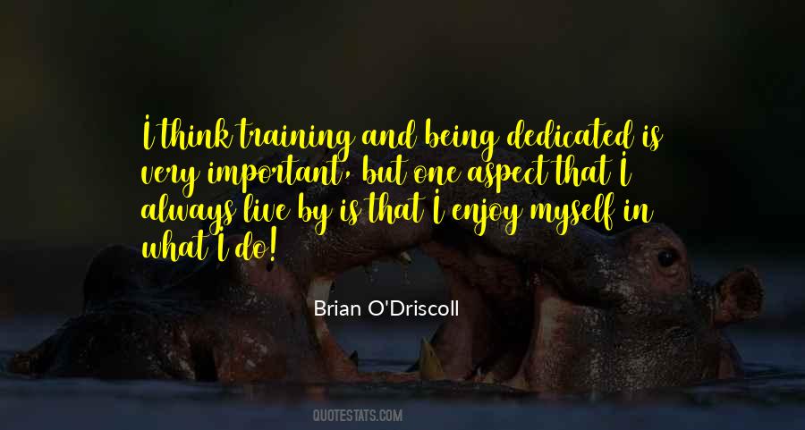 Brian O'doherty Quotes #512149