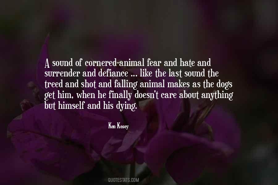 Cornered Animal Quotes #195000