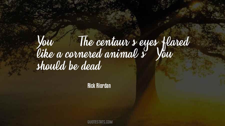 Cornered Animal Quotes #627582