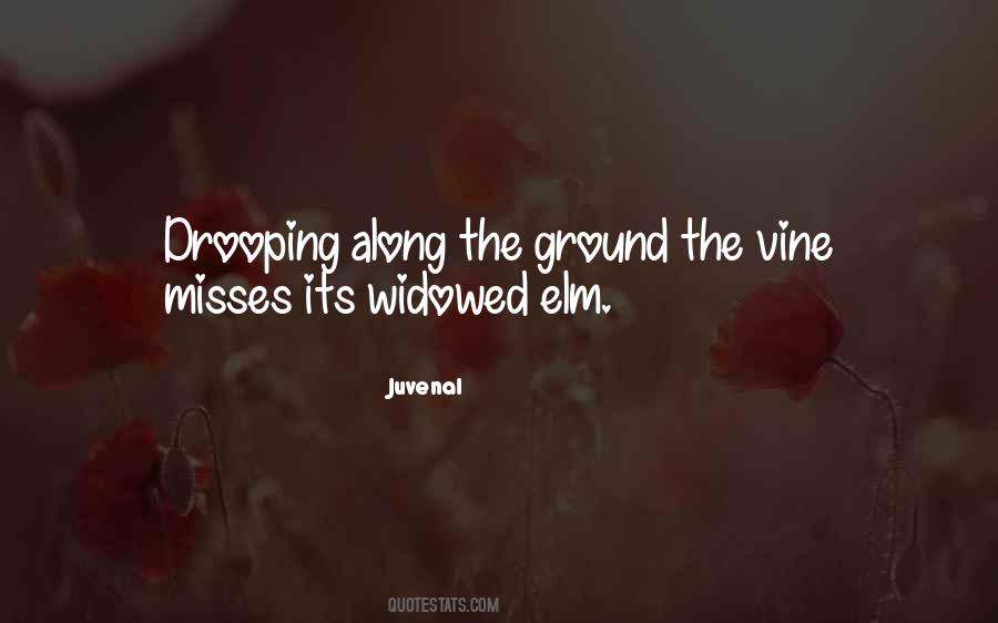 Wolverson Hospital Quotes #1259454
