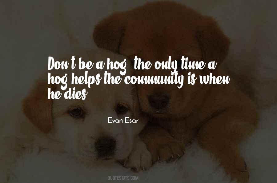 Wolverson Hospital Quotes #720170