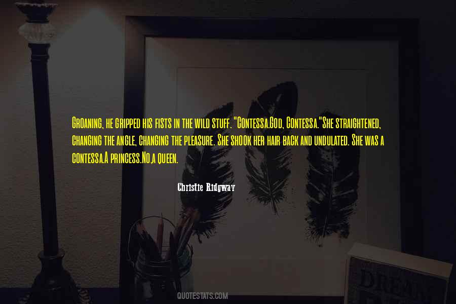 Beyond The Hidden Sky Quotes #957501