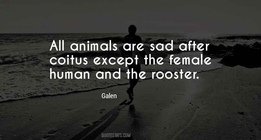 All Animals Quotes #480613