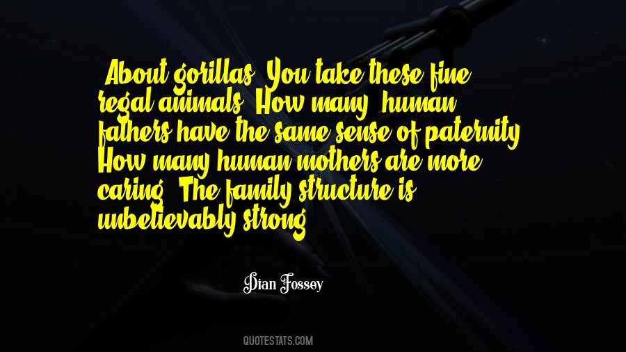 Plasterwork Backers Quotes #827133
