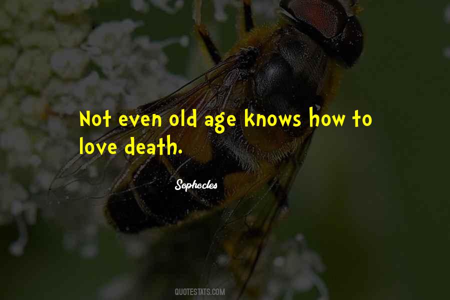 Quotes About Love Death #834222