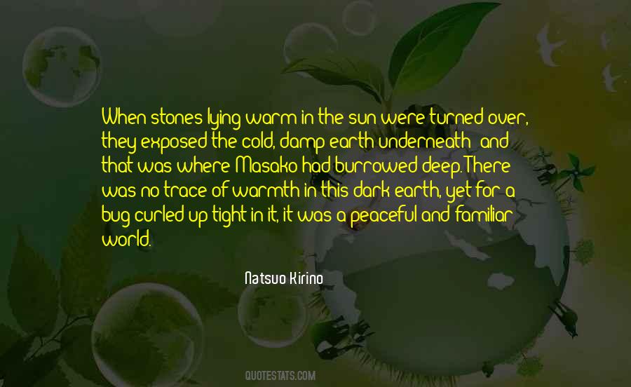 Sun And Earth Quotes #521278