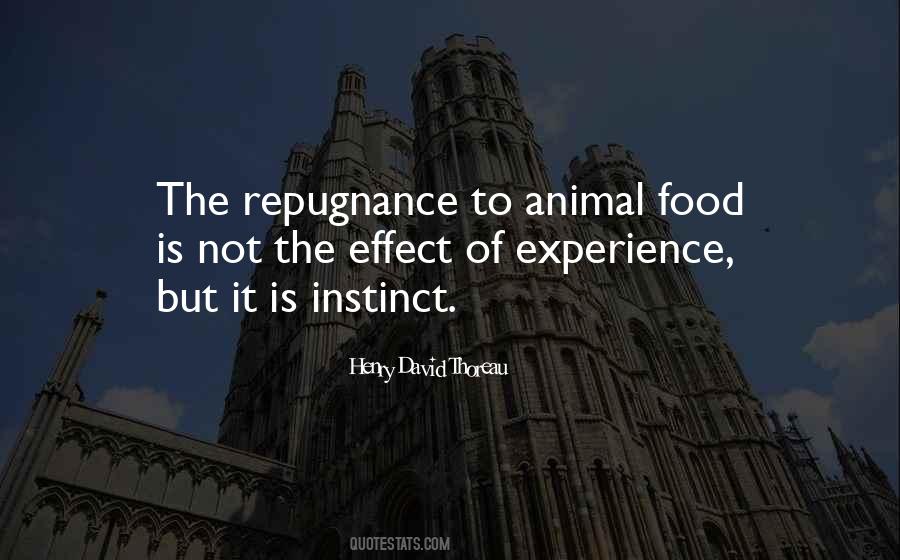 Steinbrink Piggly Wiggly Quotes #1551028