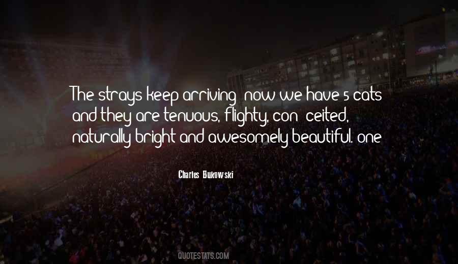 Bright And Beautiful Quotes #1201140