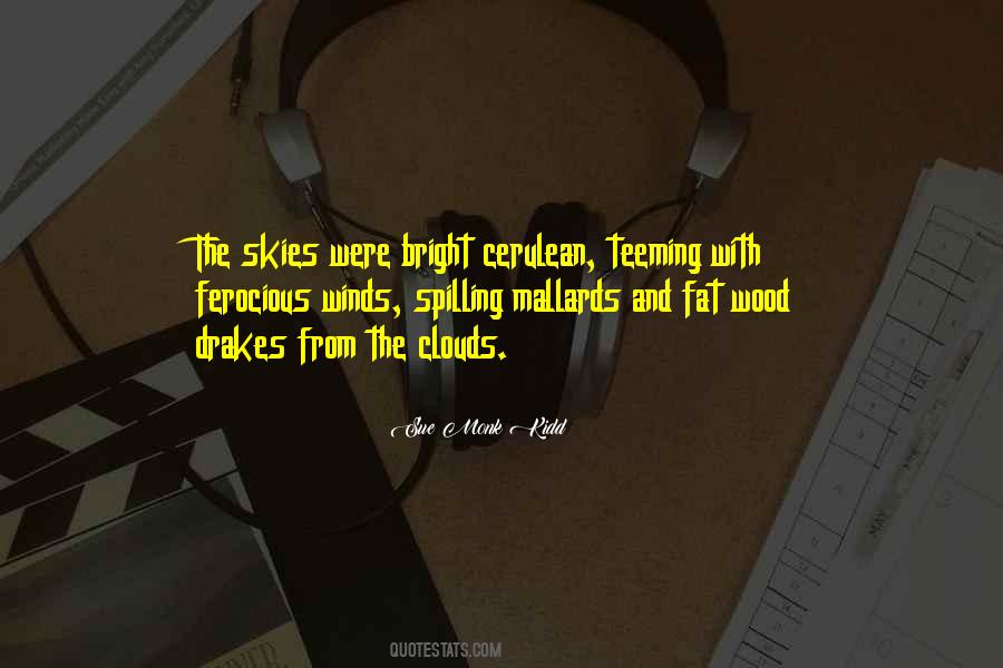 Bright Skies Quotes #1080126