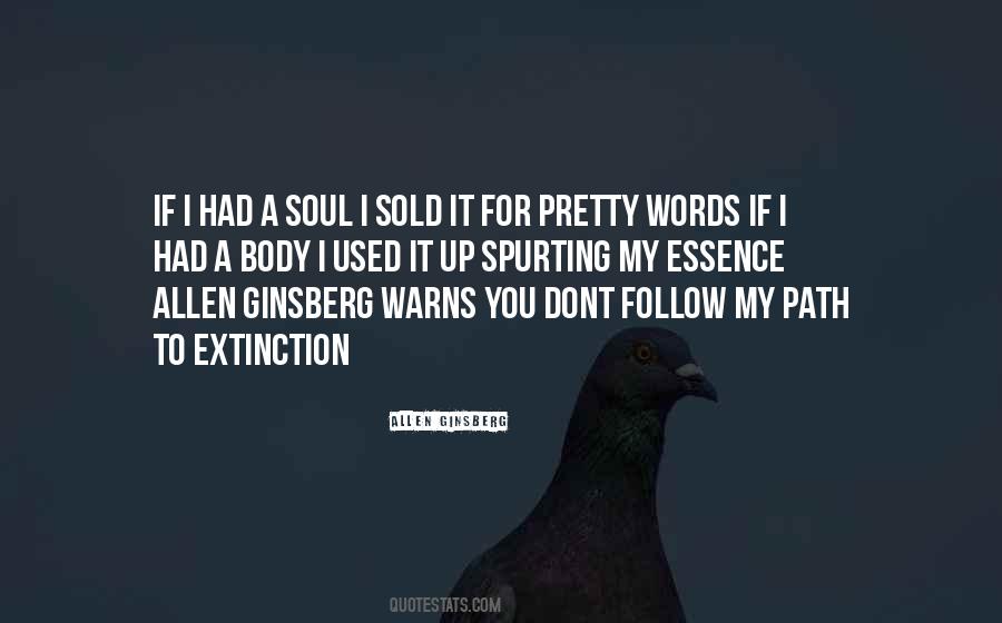 Dont Follow Quotes #1206801