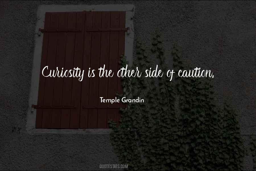 Avichi These Are The Days Quotes #1039352