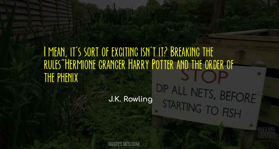 Harry Potter Hermione Granger Quotes #1242378