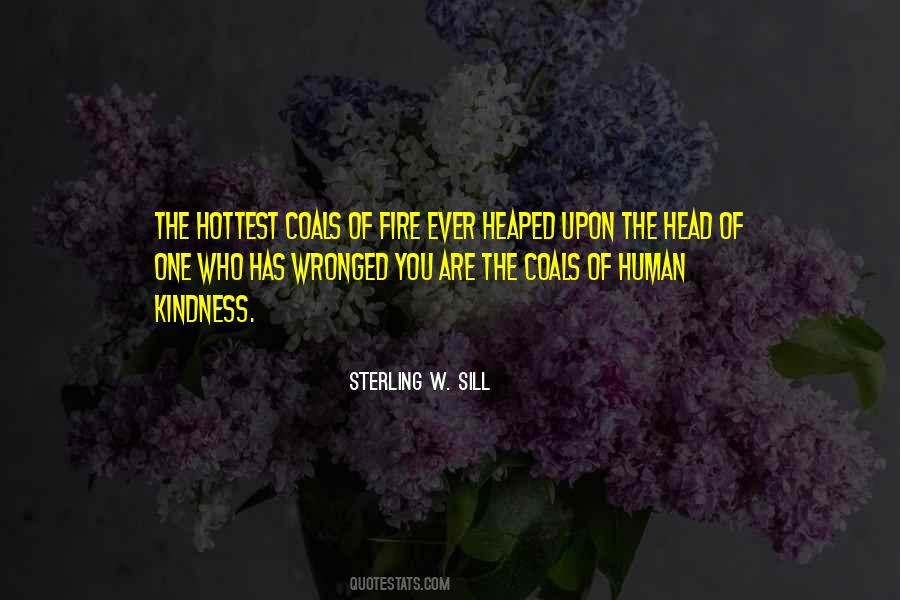 American Beauty Lester Quotes #556359