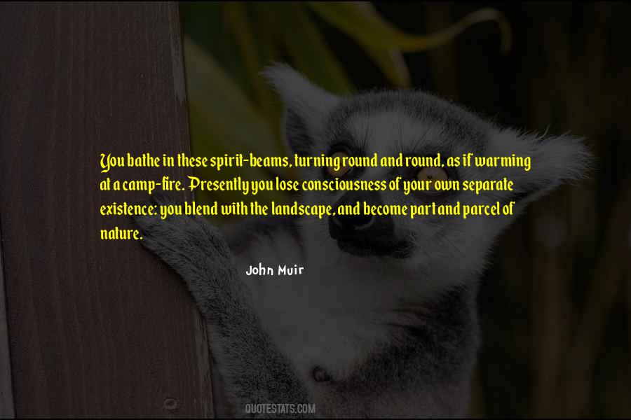 Spirit Existence Quotes #1276098