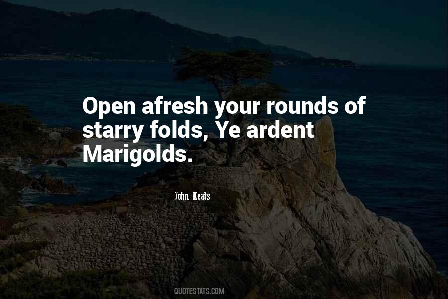 Franzoy Consulting Quotes #273614