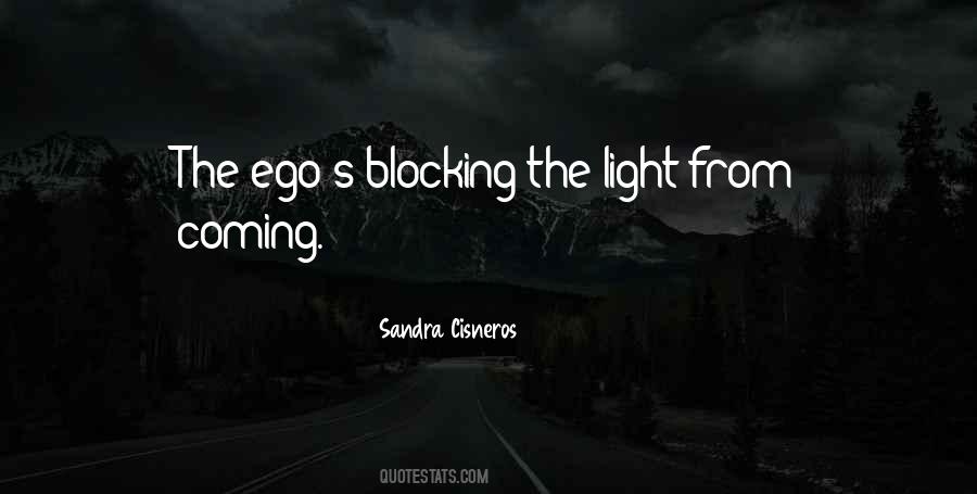 Didgeridoos On Ebay Quotes #151507