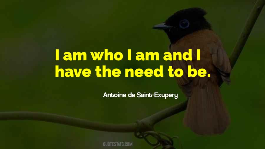 Am Who I Am Quotes #1645624