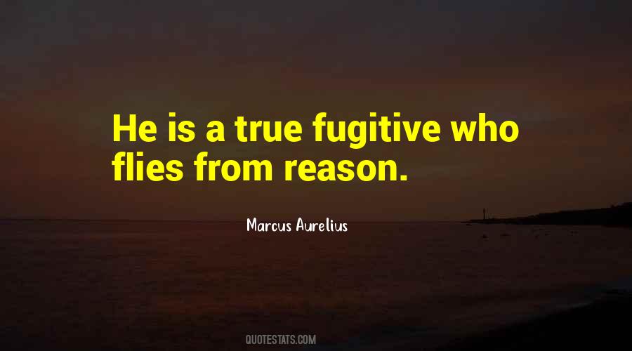 Marchesani Wine Quotes #1840624