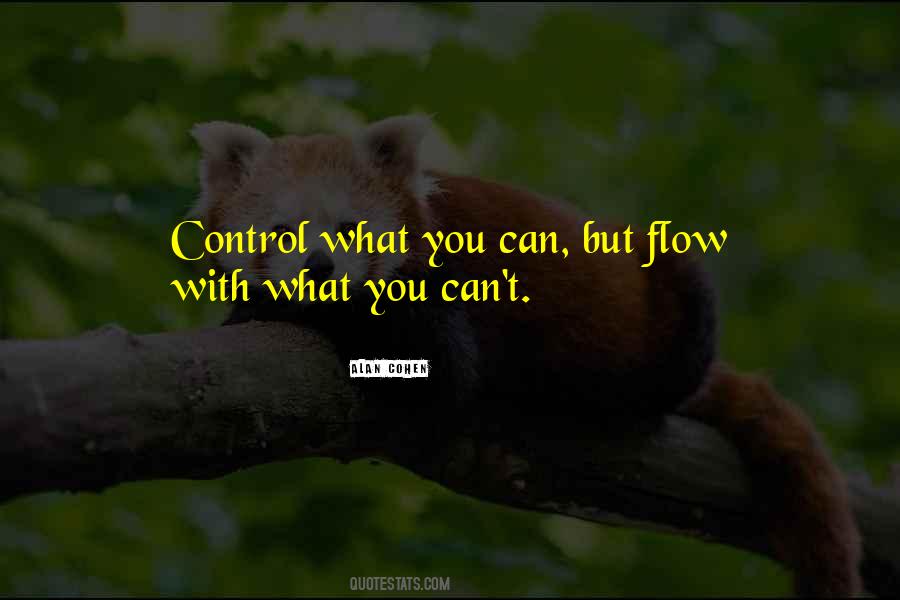 Control What You Can Quotes #740339