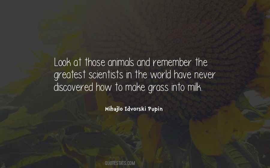 Assayer Scale Quotes #515519