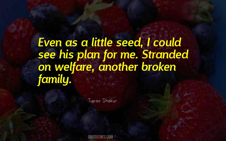 Broken Up Family Quotes #106796
