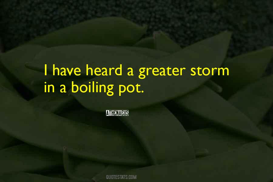 Boiling Pot Quotes #1256630