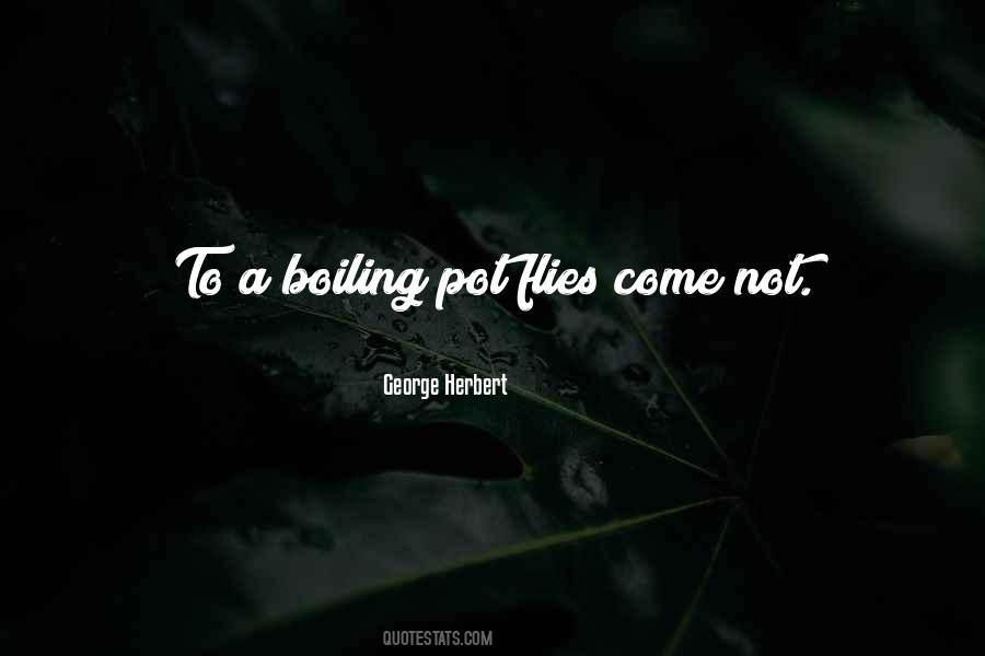 Boiling Pot Quotes #541985