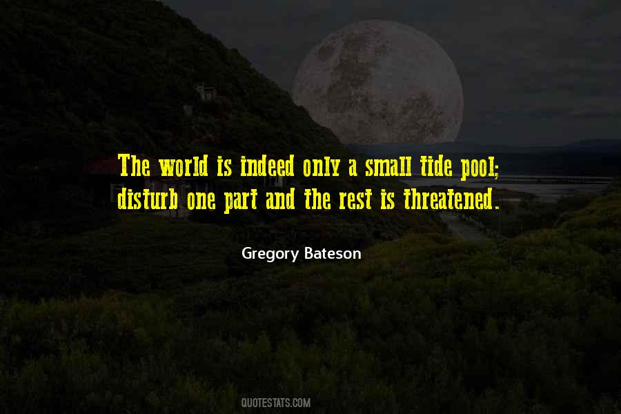 Chaminda Hettiarachchi Quotes #1250454