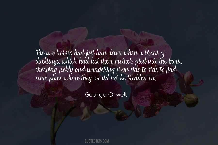 Brood Quotes #239284