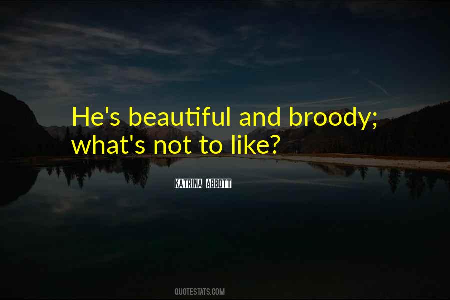 Broody Quotes #462817