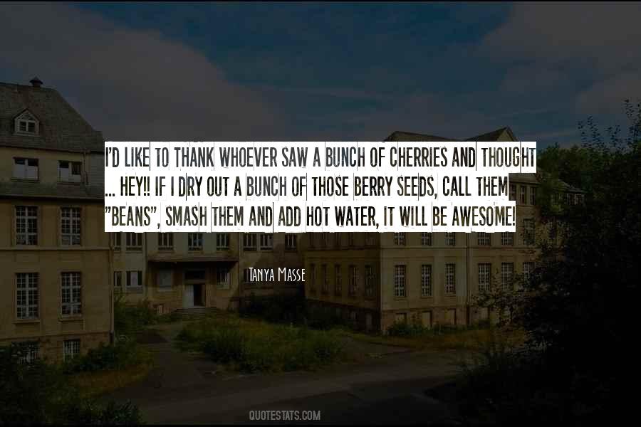 Sibaya Sands Quotes #881057