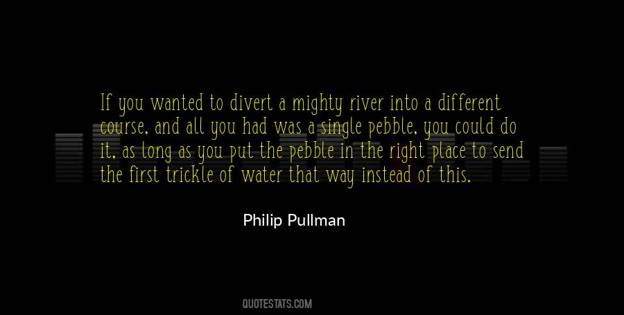 Pebble In The Water Quotes #1199689