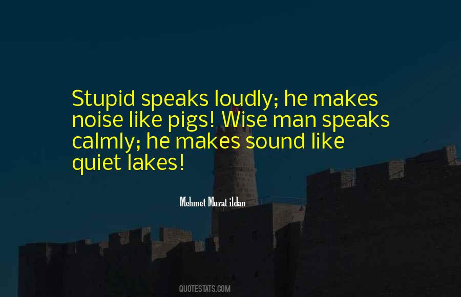 Noujaims Mediterranean Quotes #214148