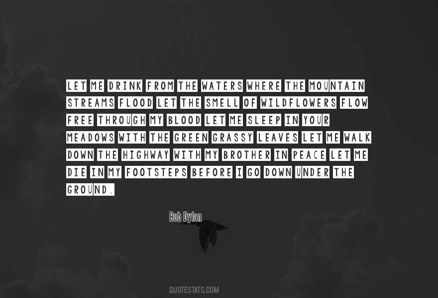 Brother Not By Blood Quotes #270624