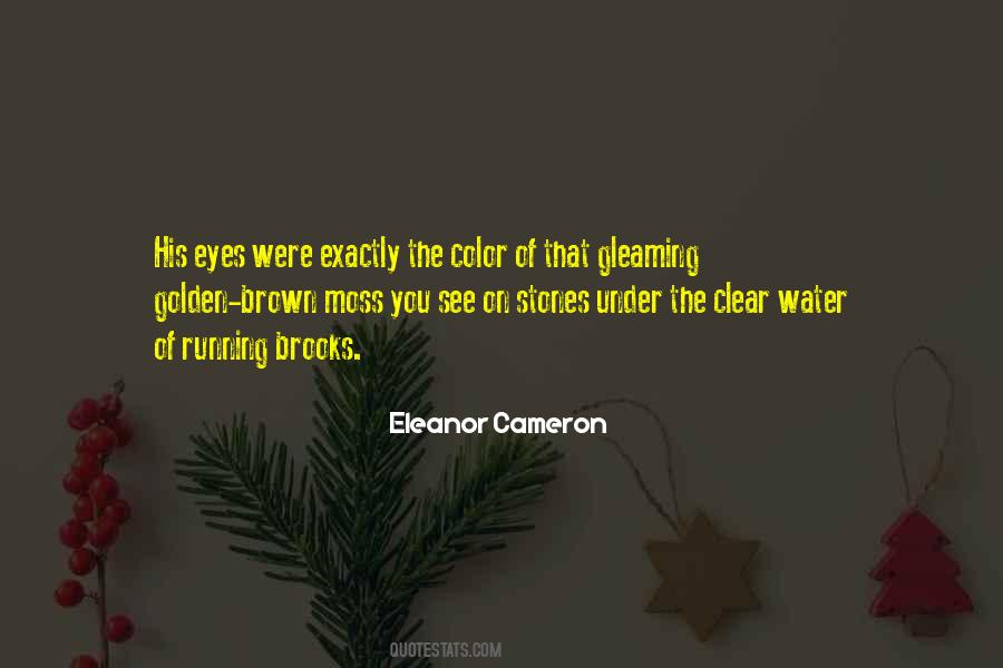 Brown Eye Quotes #1841210